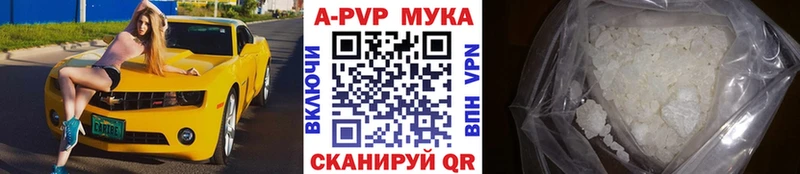 APVP СК Ветлуга