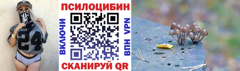 Псилоцибиновые грибы MAGIC MUSHROOMS  блэк спрут как зайти  Ветлуга 