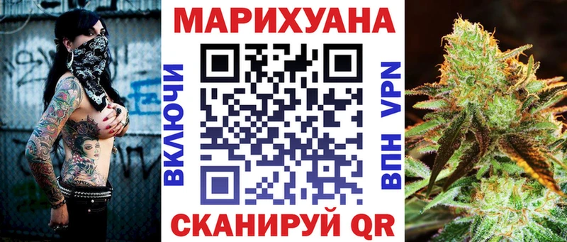 Канабис сатива  продажа наркотиков  Ветлуга 